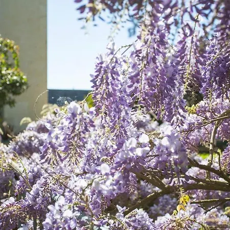 Le Coudray-macouard Sleeps 8 Wifi Villa Le Coudray-Macouard